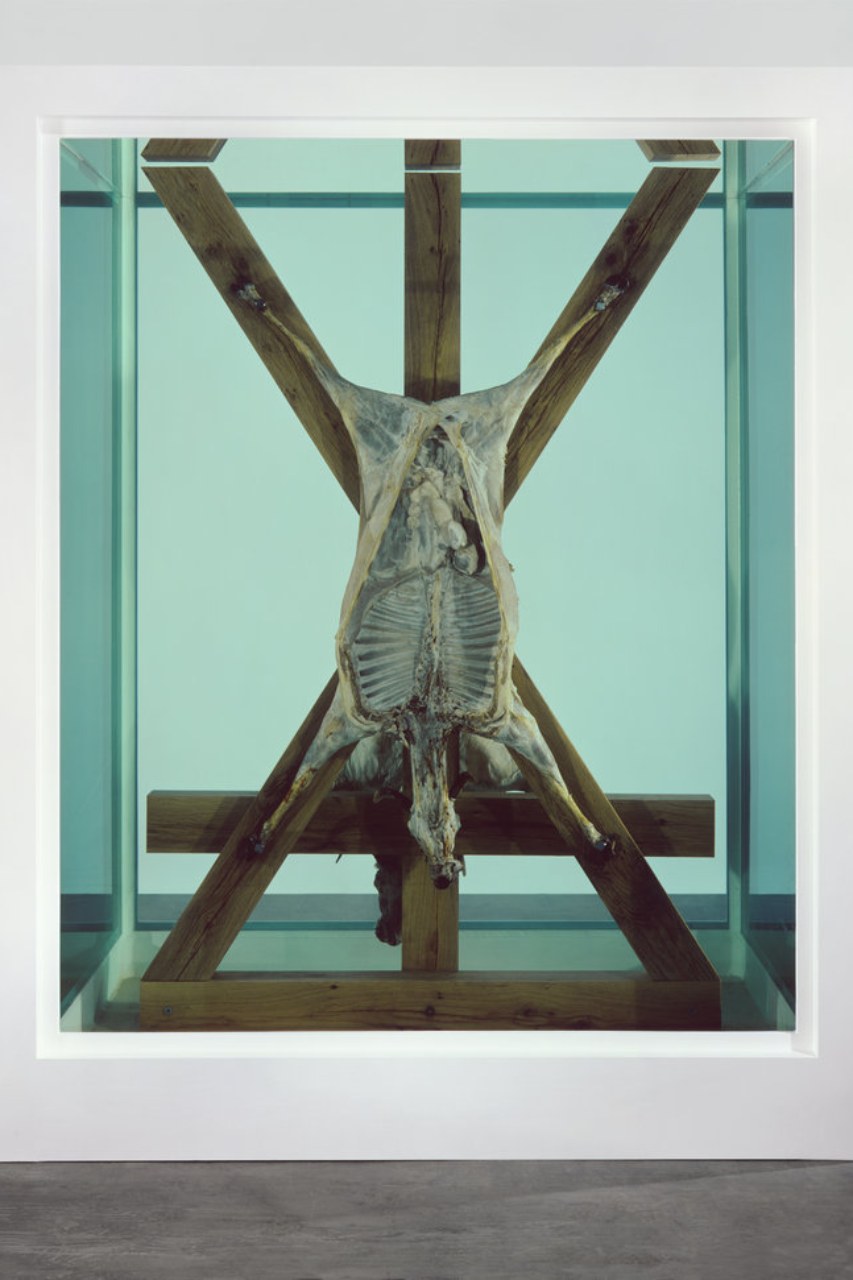 damien hirst