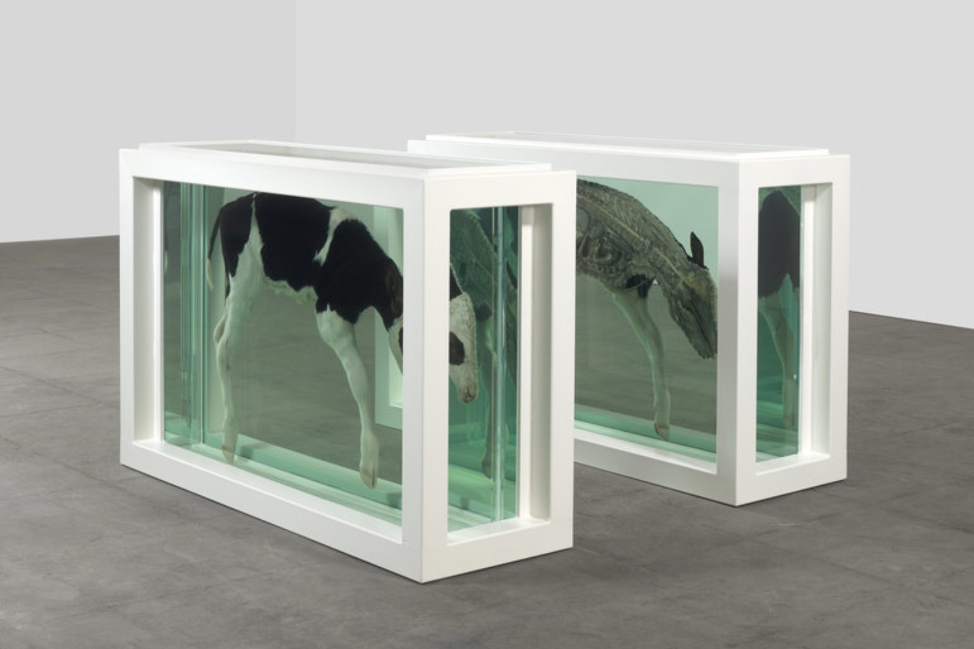 damien hirst