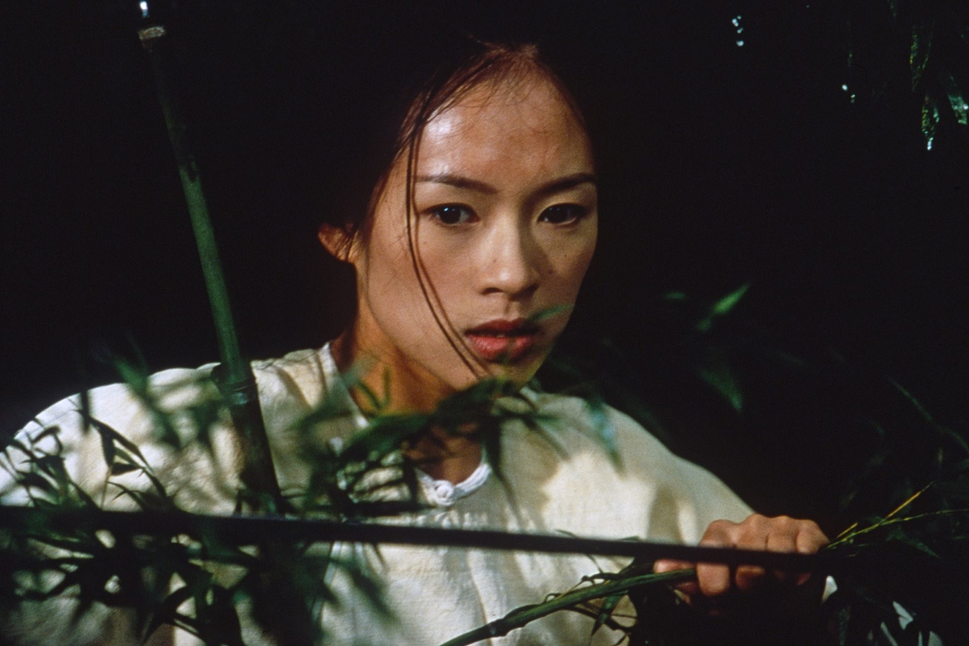 李安《臥虎藏龍》道盡女人的血性，章子怡的玉嬌龍與楊紫瓊的俞秀蓮成為兩個對比，女性最真實的野心與慾望一覽無遺！｜Wazaiii達人的電影夢｜